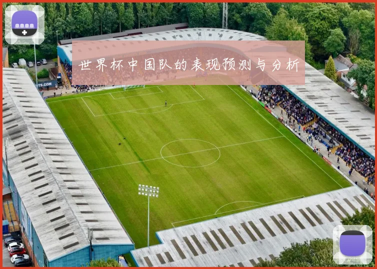 世界杯中国队的表现预测与分析
